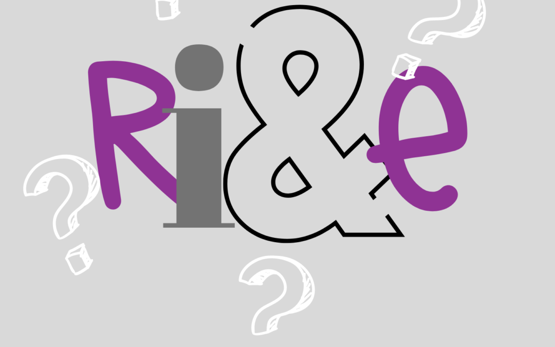 Wat is een RI&E?